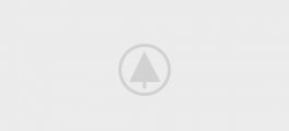 wood-gallery-placeholder-3 wood-gallery-placeholder-3
