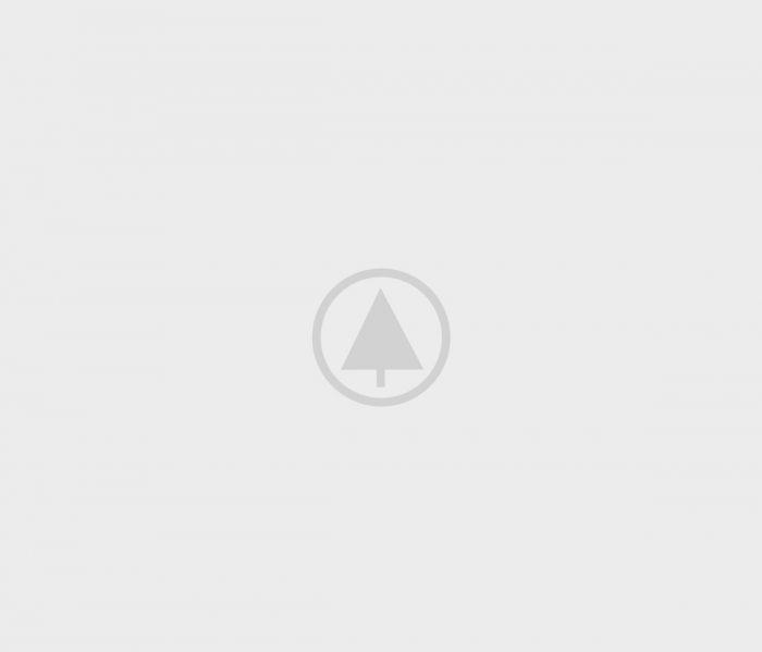 wood-gallery-placeholder-4