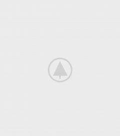 wood-gallery-placeholder-5