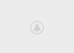wood-gallery-placeholder-5
