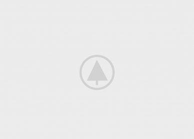 wood-gallery-placeholder-5