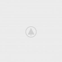 wood-portfolio-placeholder