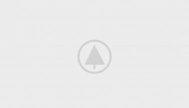 wood-portfolio-placeholder