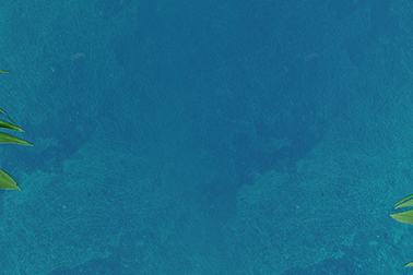 banner-yeu-thuoc