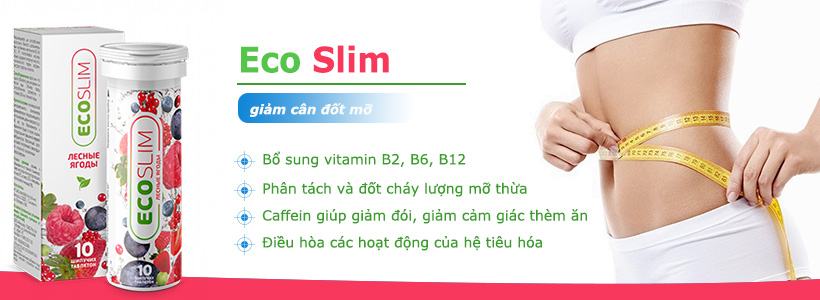 cong-dung-eco-slim