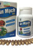 an-mach