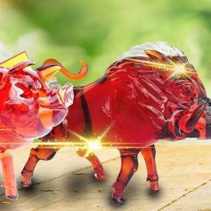 ruou-heo-rung